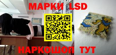 эйфоретик Кимры