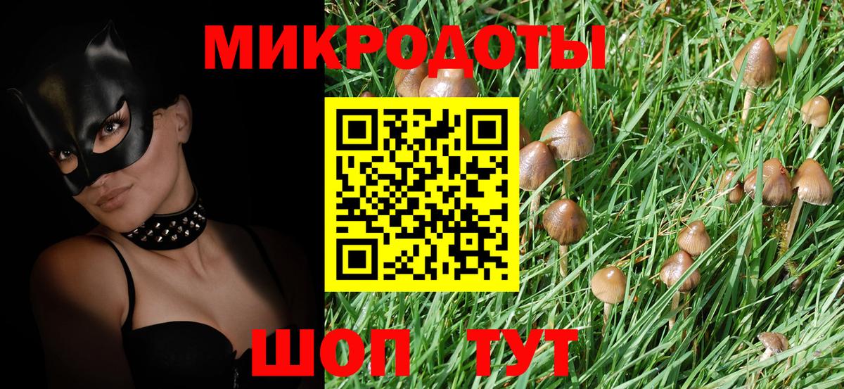 Мурино  Псилоцибиновые грибы Magic Shrooms  Вход с VPN  дарнет шоп  Галлюциногенные грибы GOLDEN TEACHER 